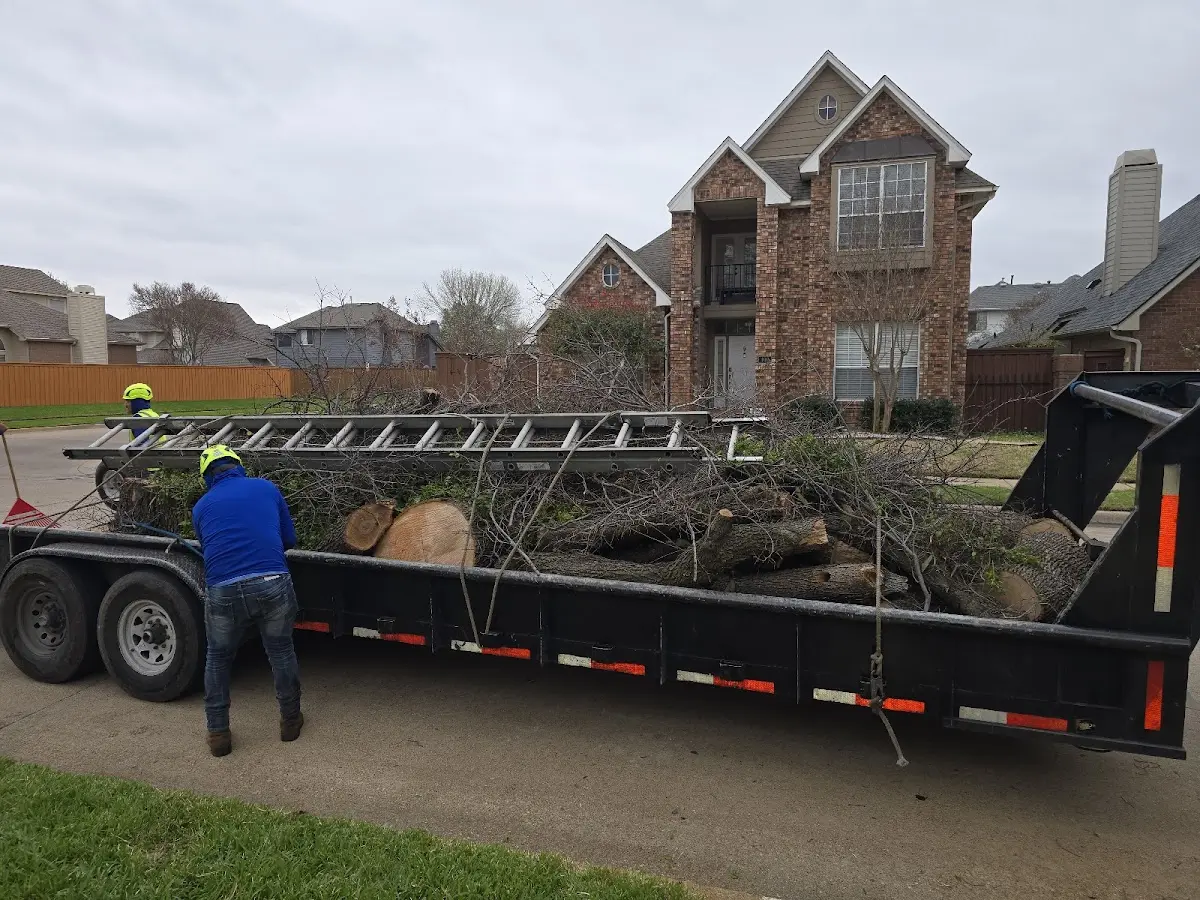 Expert Tree Fertilization with proper safety equipment in Loco Hills